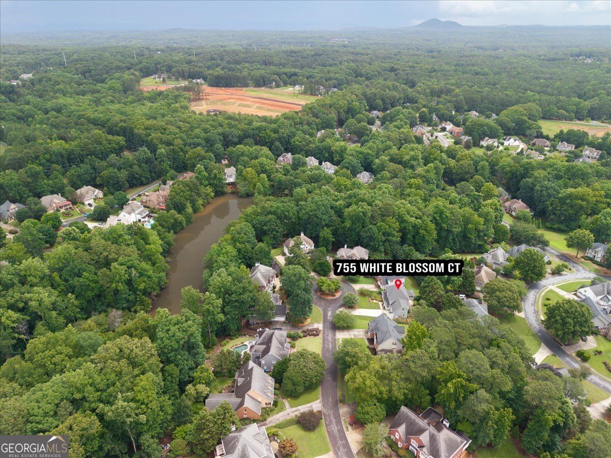 755 White Blossom Court Powder Springs - Photo 64