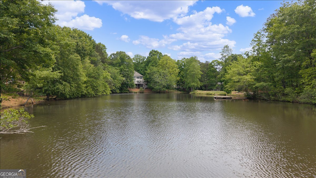 755 White Blossom Court Powder Springs - Photo 77