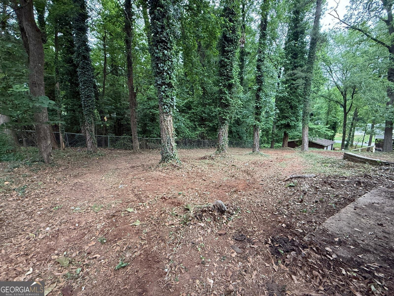 2807 Leisure Woods Ln Decatur - Photo 23