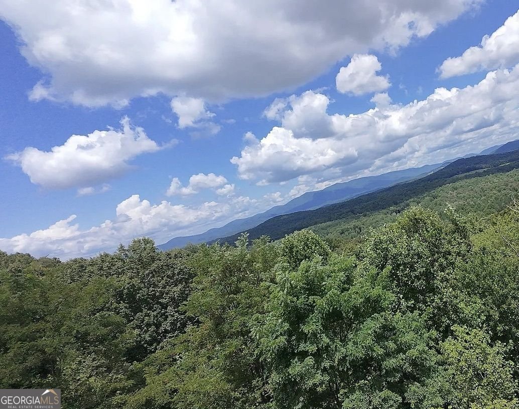 35 Black Bear Ct Ellijay - Photo 6