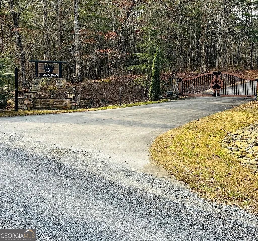 35 Black Bear Ct Ellijay - Photo 7