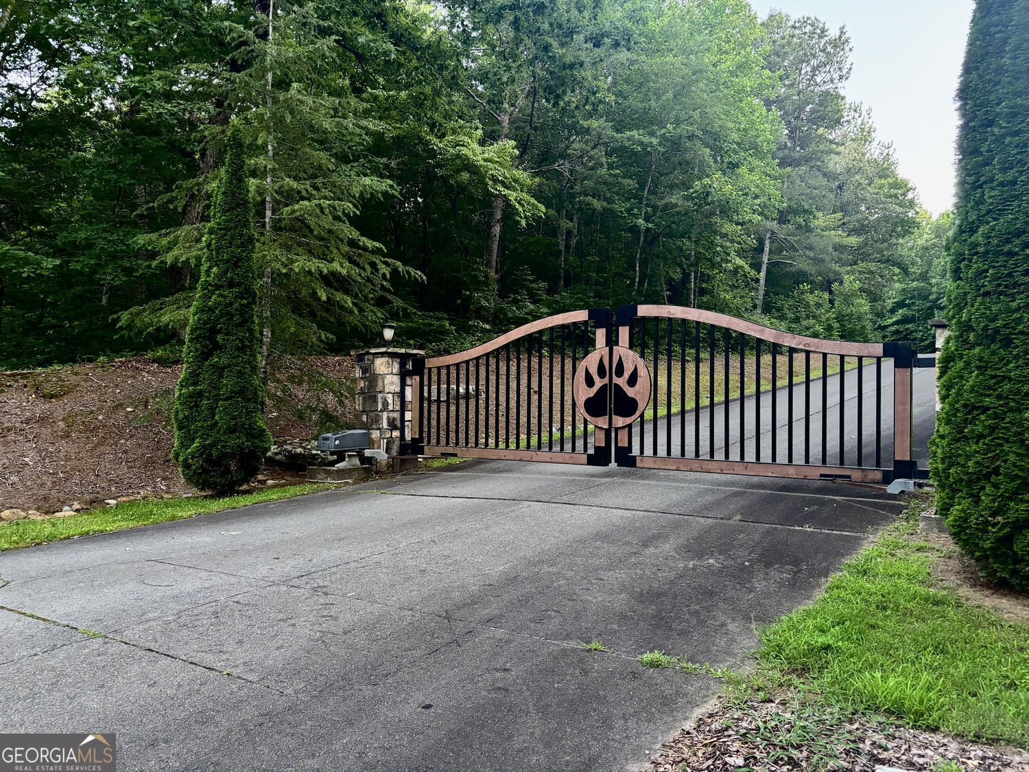 35 Black Bear Ct Ellijay - Photo 9