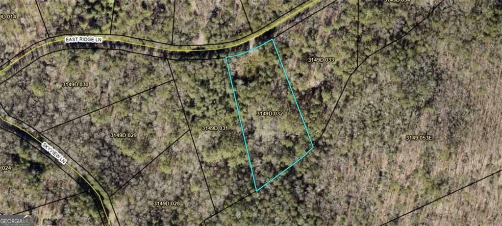 LOT 32 East Ridge Ln Ellijay - Photo 7