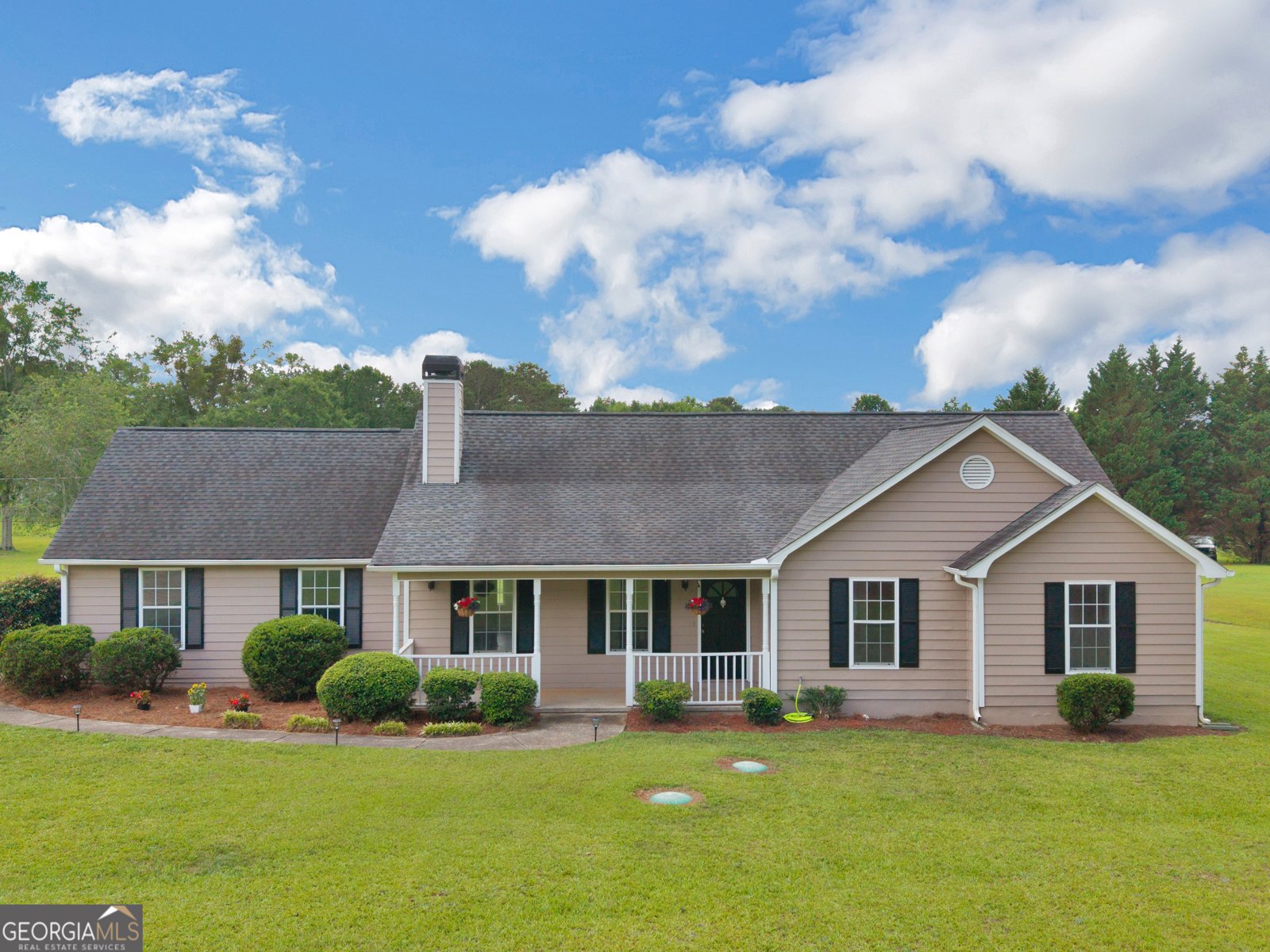 110 Country Meadows Court McDonough - main photo
