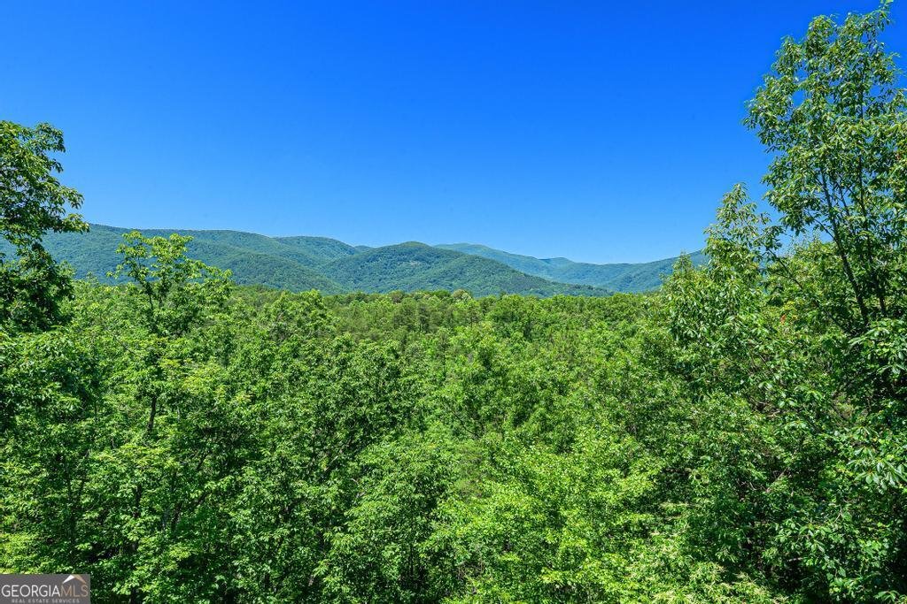 980 Woodbrier Sautee Nacoochee - Photo 50