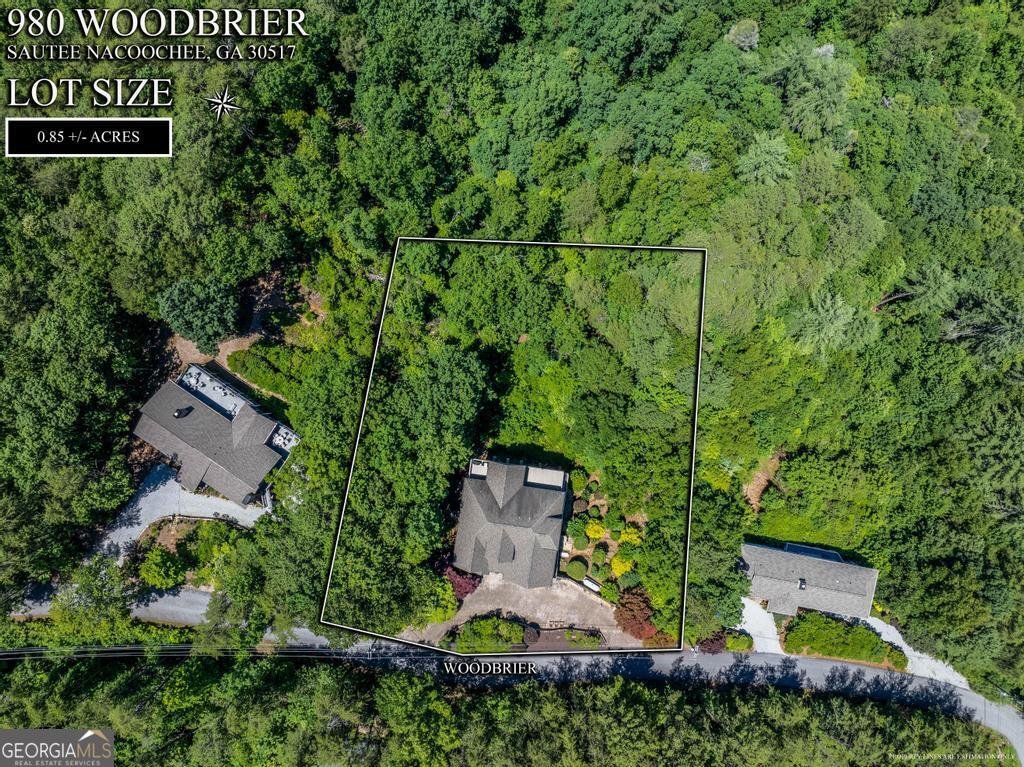 980 Woodbrier Sautee Nacoochee - Photo 55