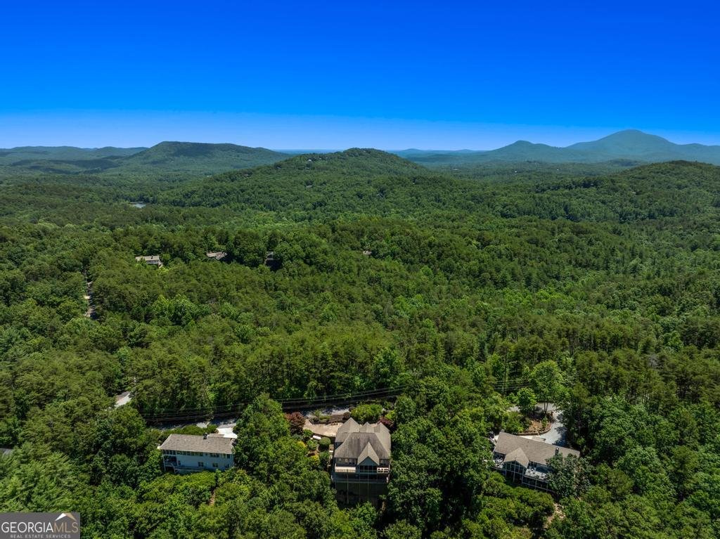 980 Woodbrier Sautee Nacoochee - Photo 59