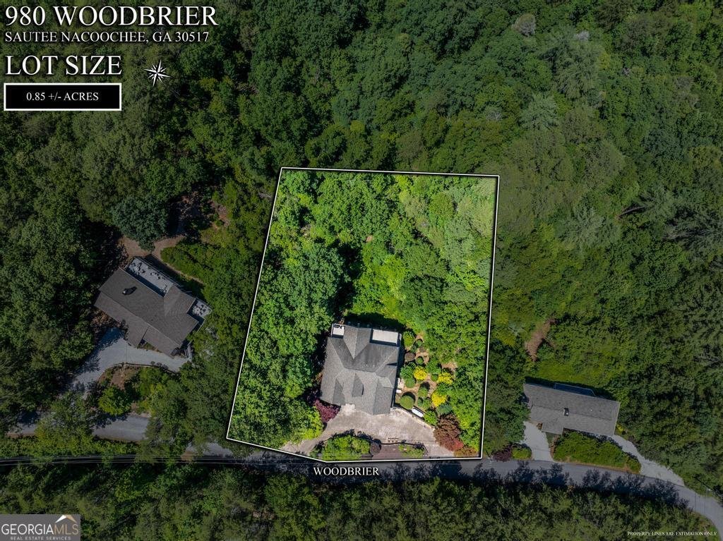980 Woodbrier Sautee Nacoochee - Photo 60