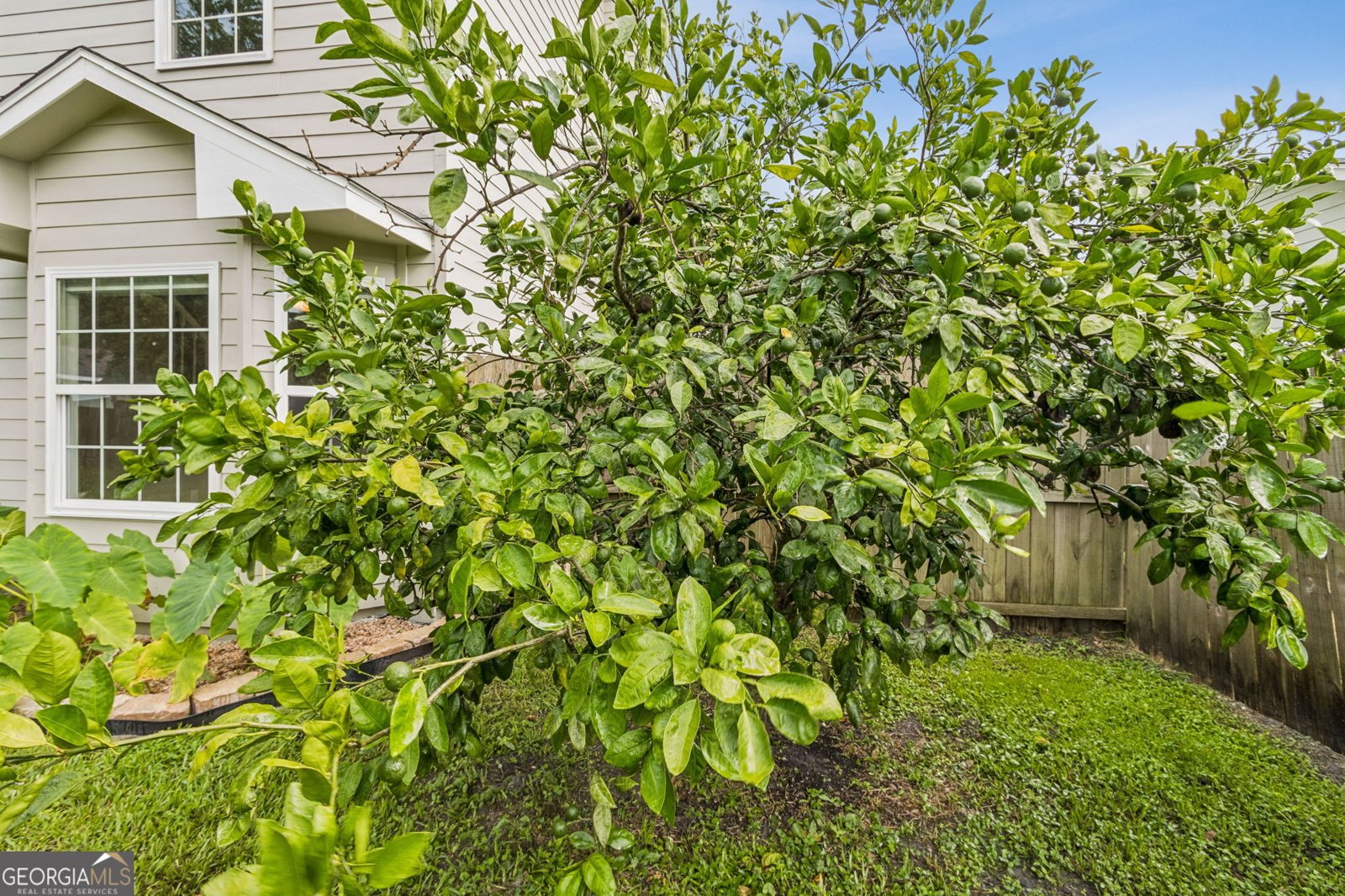 216 Lonesome Pine Court Kingsland - Photo 57