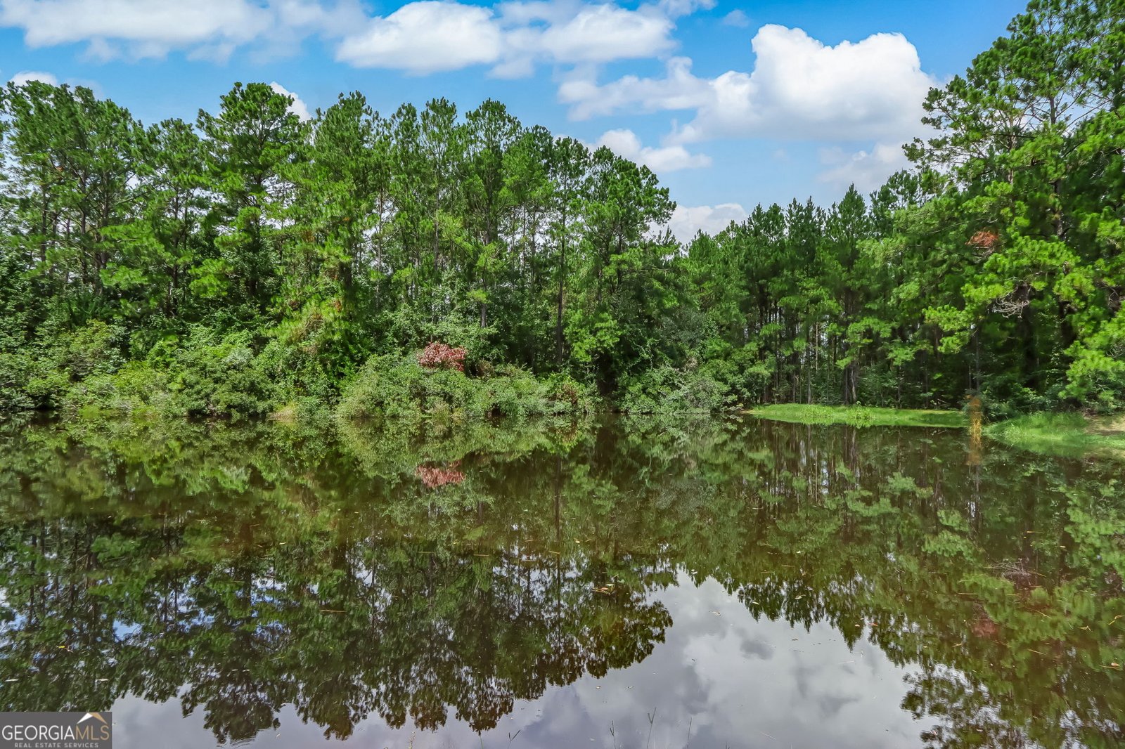 216 Lonesome Pine Court Kingsland - Photo 63