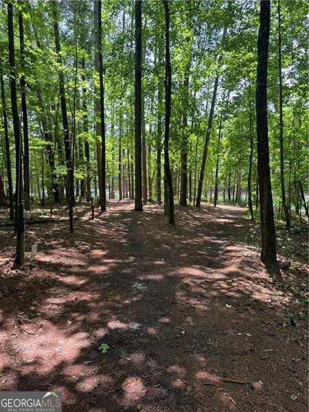 3200 Rim Cove Drive Cumming - Photo 35