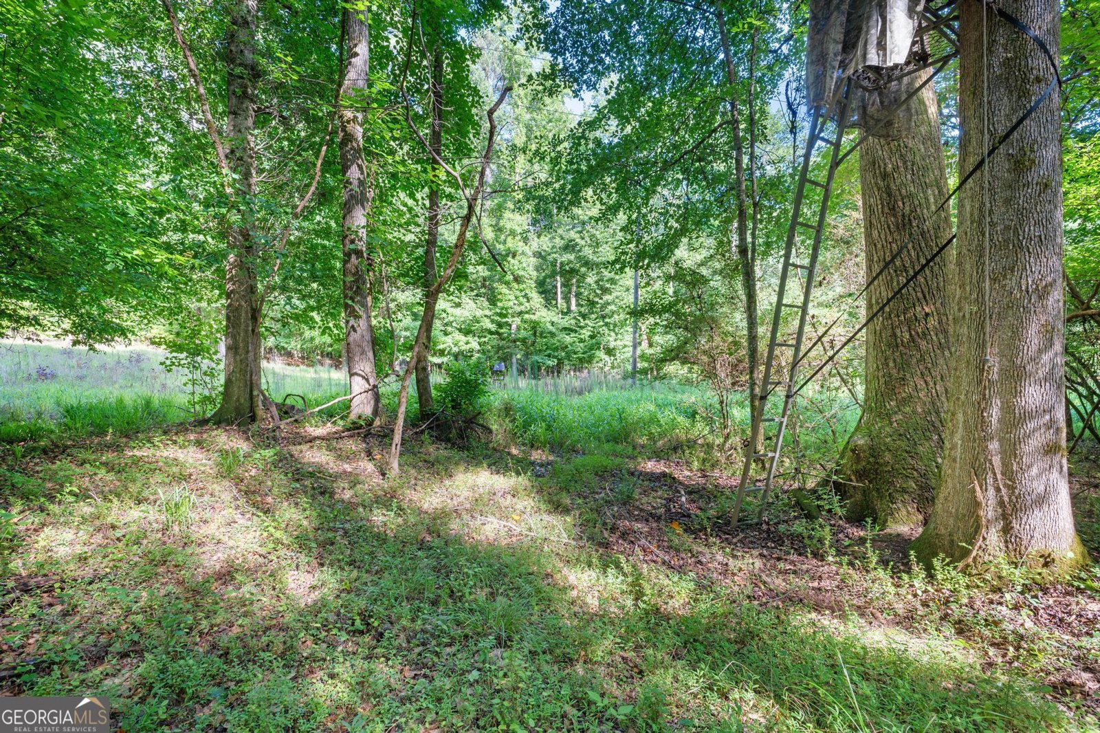 155 Aristocrat Court Fayetteville - Photo 75