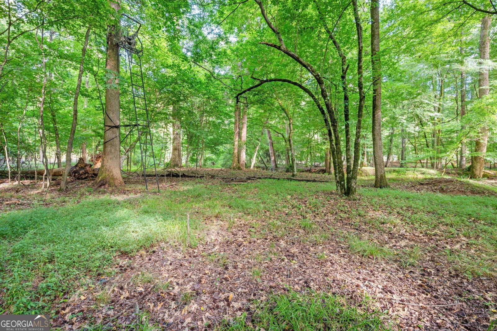 155 Aristocrat Court Fayetteville - Photo 80
