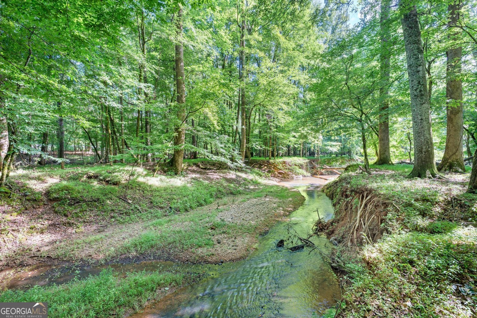 155 Aristocrat Court Fayetteville - Photo 81