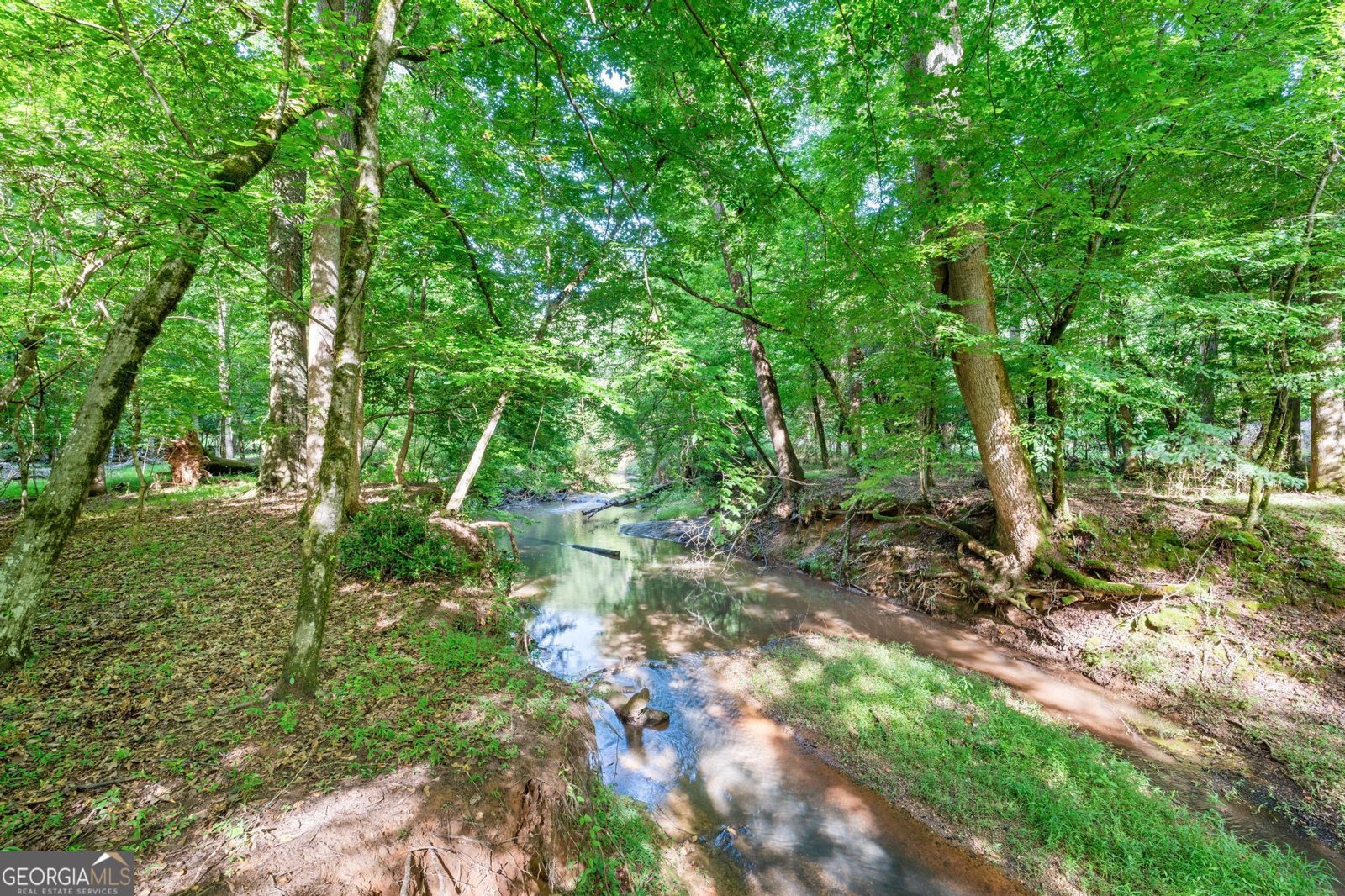 155 Aristocrat Court Fayetteville - Photo 82