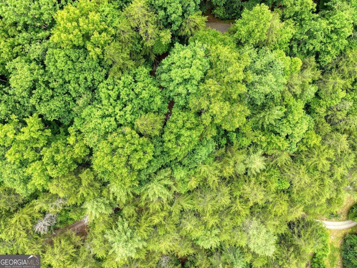 664 High Ridge Road Murphy - Photo 36