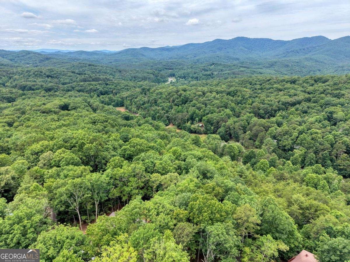 664 High Ridge Road Murphy - Photo 37