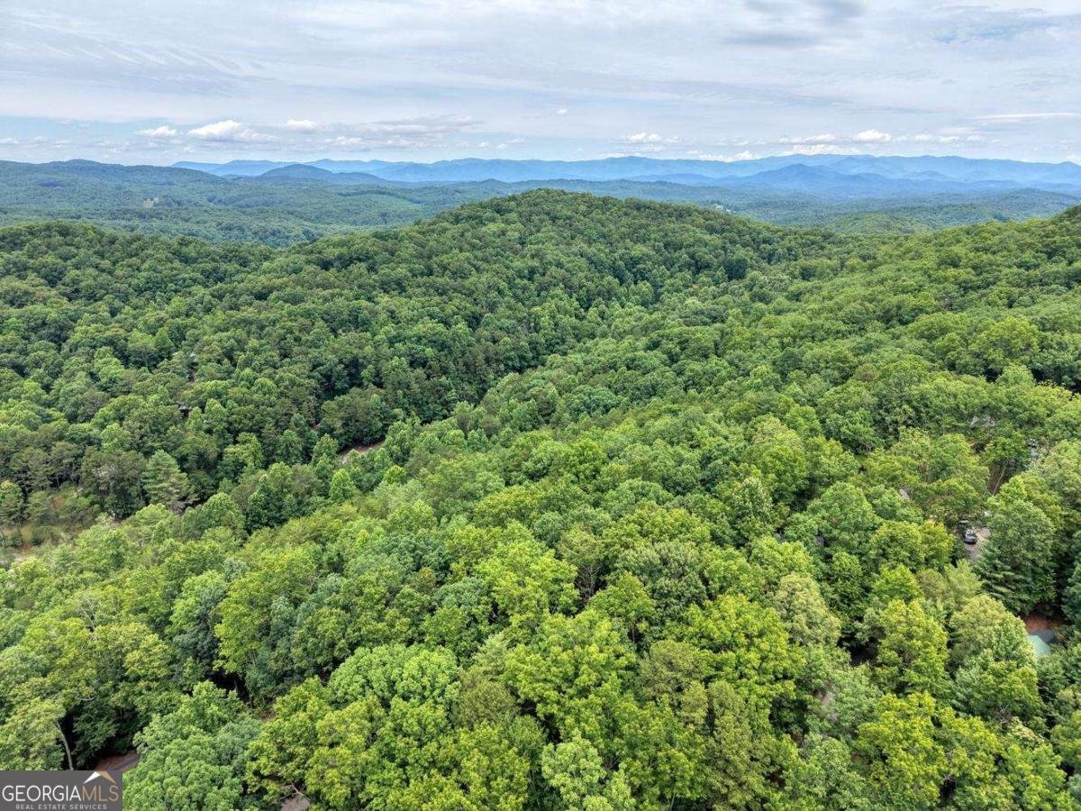 664 High Ridge Road Murphy - Photo 38