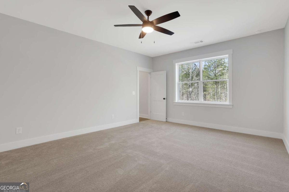 7048 Manchester Drive Flowery Branch - Photo 49