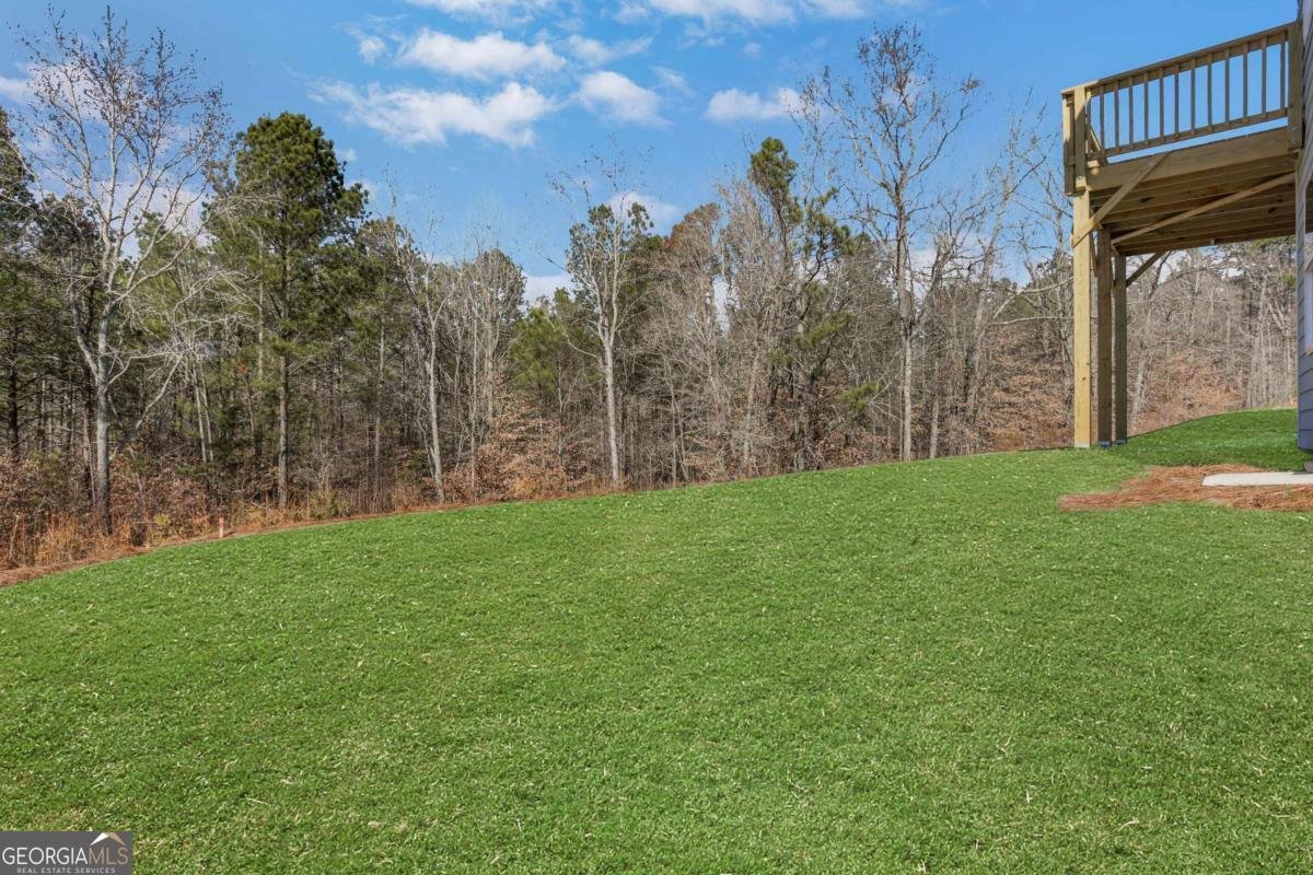 7048 Manchester Drive Flowery Branch - Photo 52
