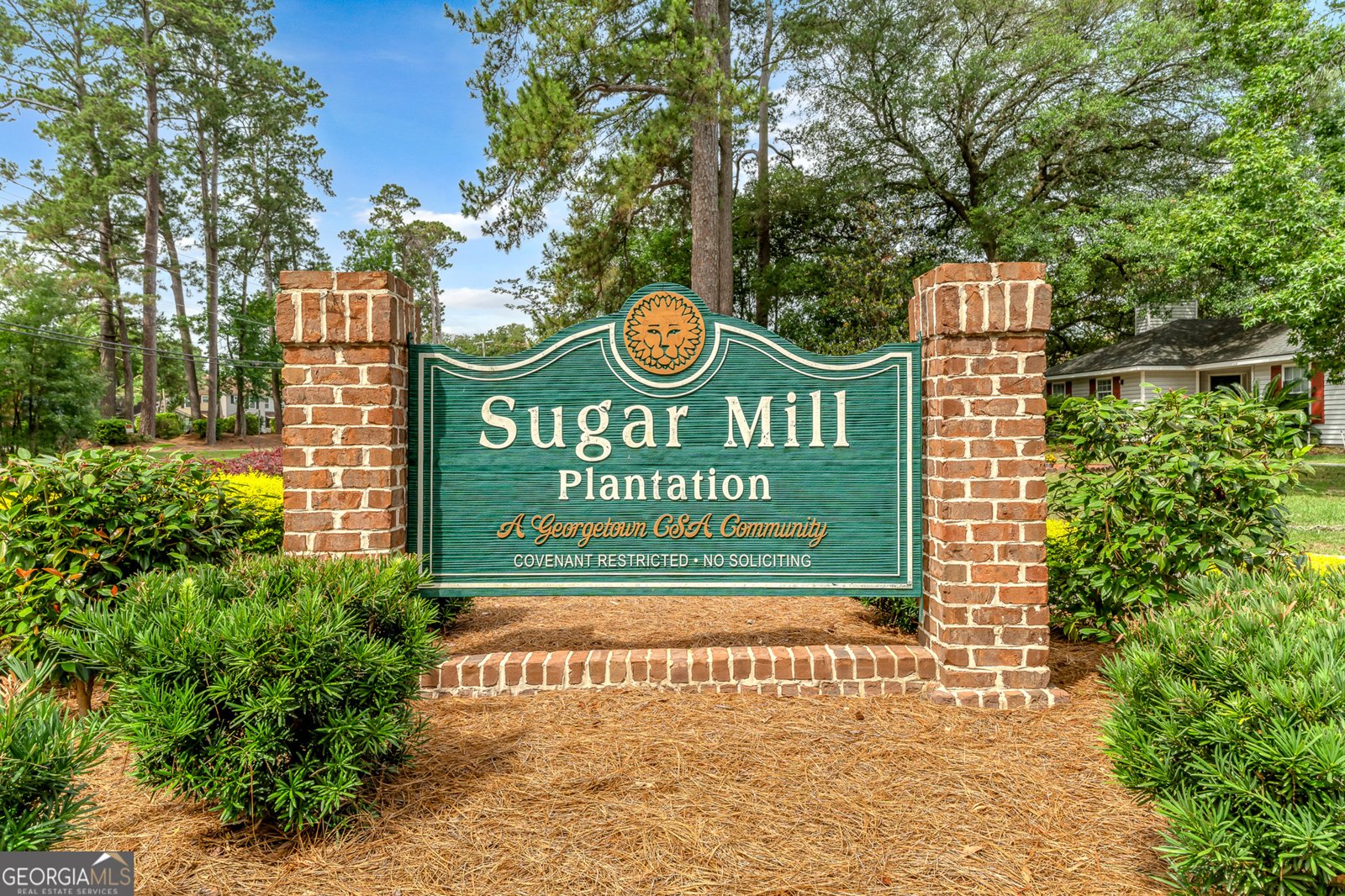 250 Sugar Mill Drive Savannah - main photo