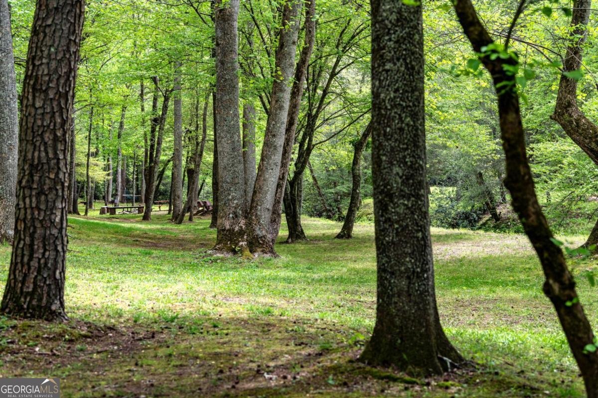 245 Old Anderson Creek Ellijay - Photo 70