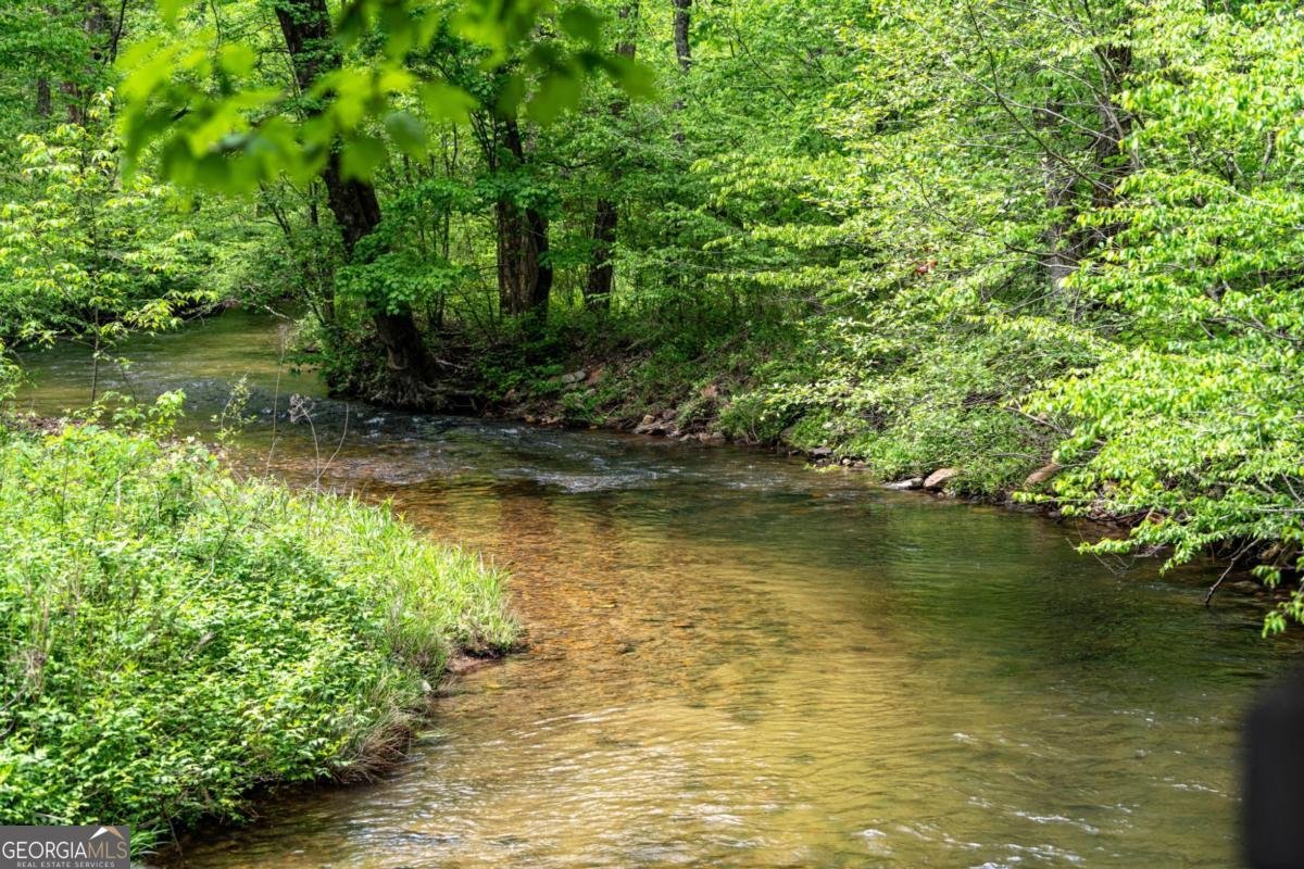 245 Old Anderson Creek Ellijay - Photo 72