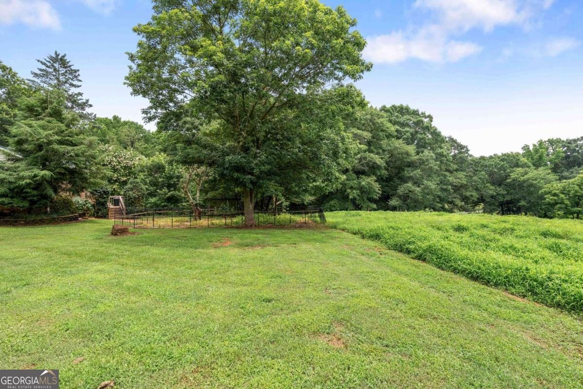 2414 Bethesda Church Road Carrollton - Photo 38