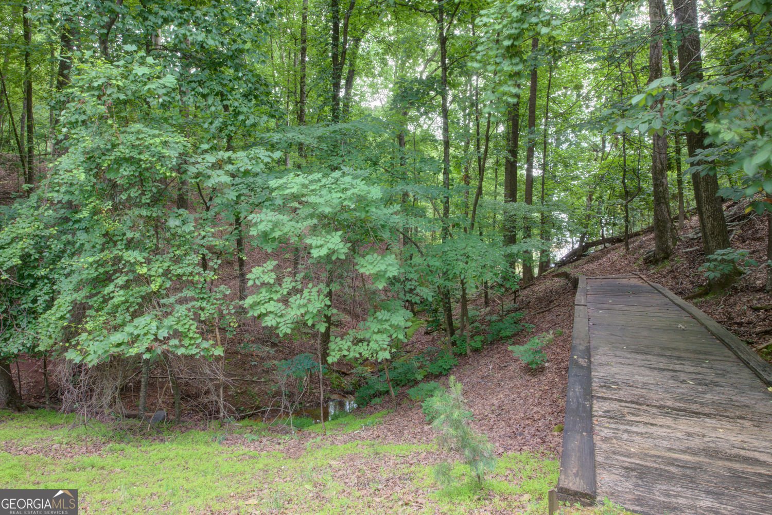 7480 Shadburn Ferry Road Cumming - Photo 22