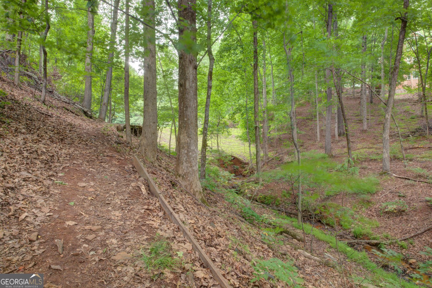 7480 Shadburn Ferry Road Cumming - Photo 23