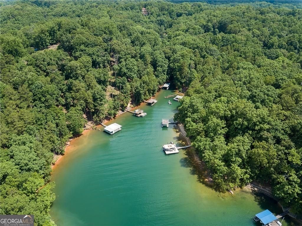 7480 Shadburn Ferry Road Cumming - Photo 67