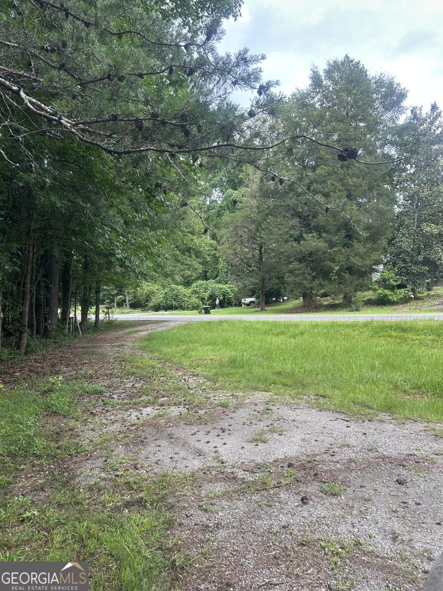 294 Turner Road Newnan - Photo 19