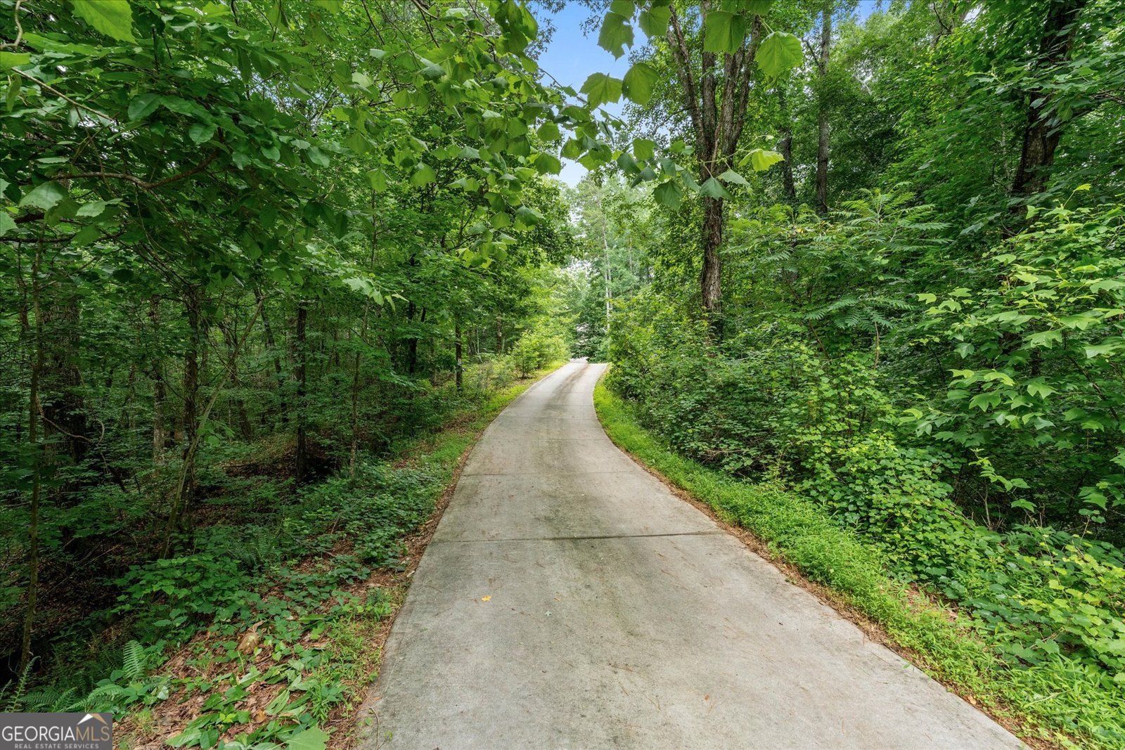 4475 Liberty Road Villa Rica - Photo 58
