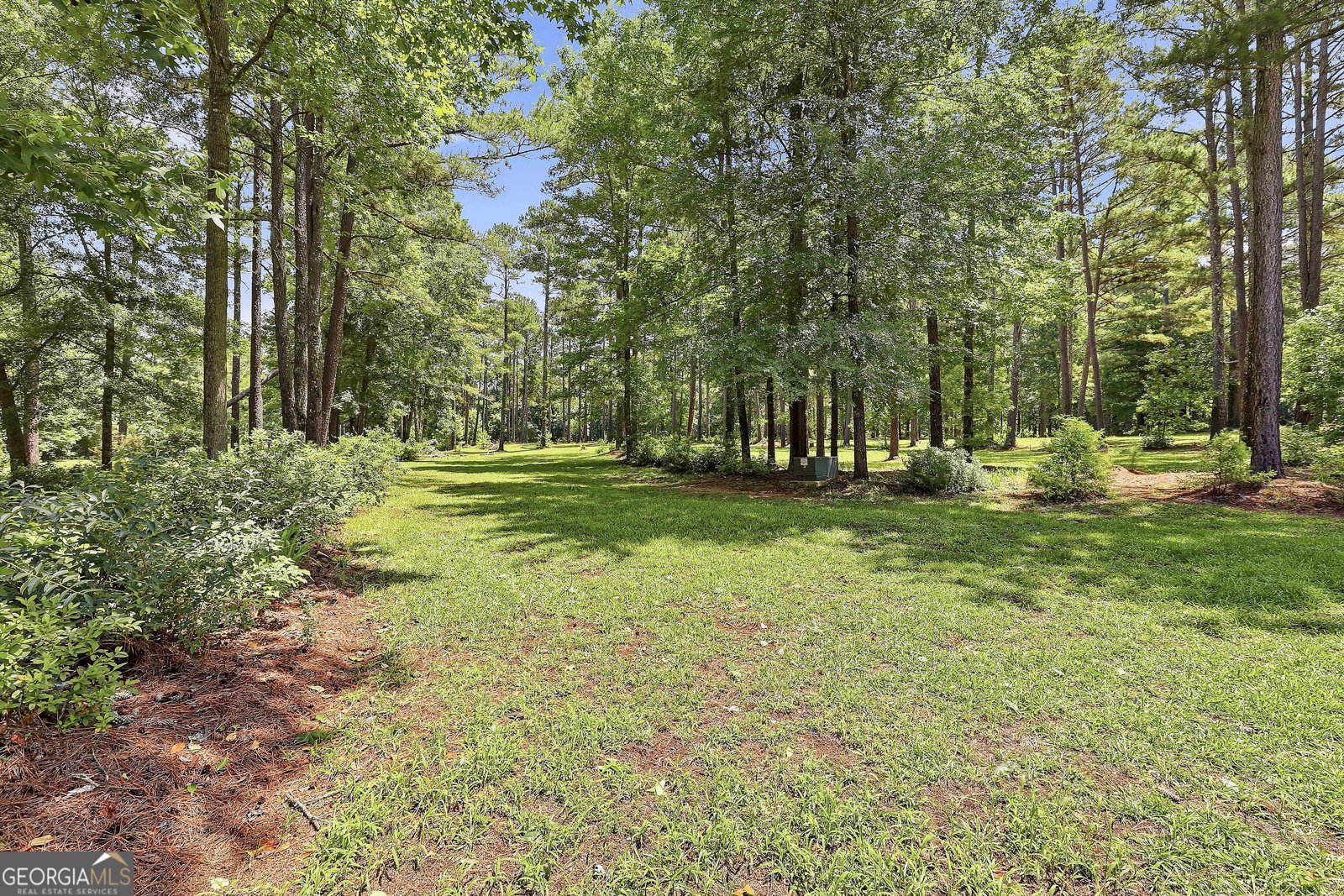 207 Steeplechase Barnesville - Photo 43