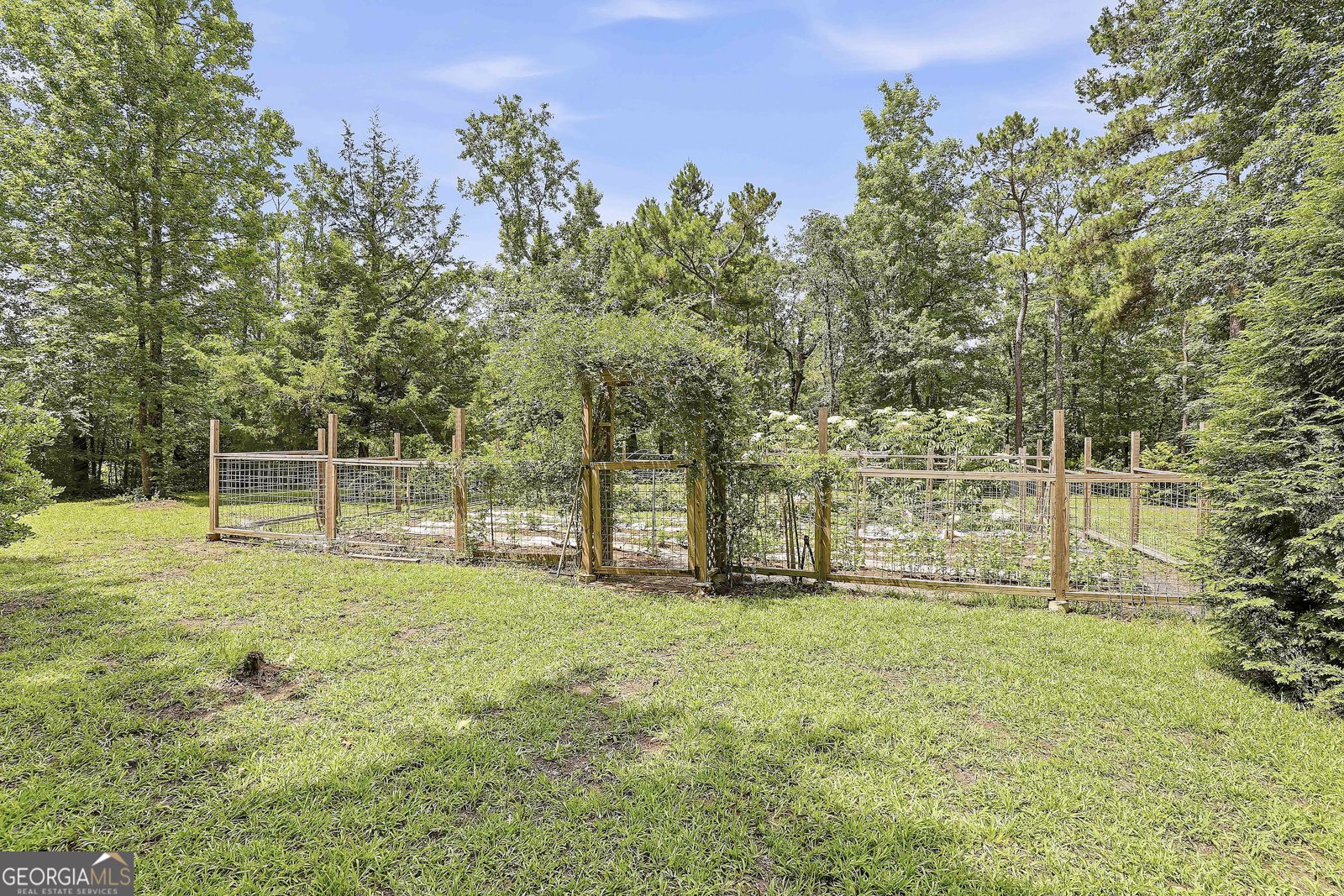 207 Steeplechase Barnesville - Photo 45