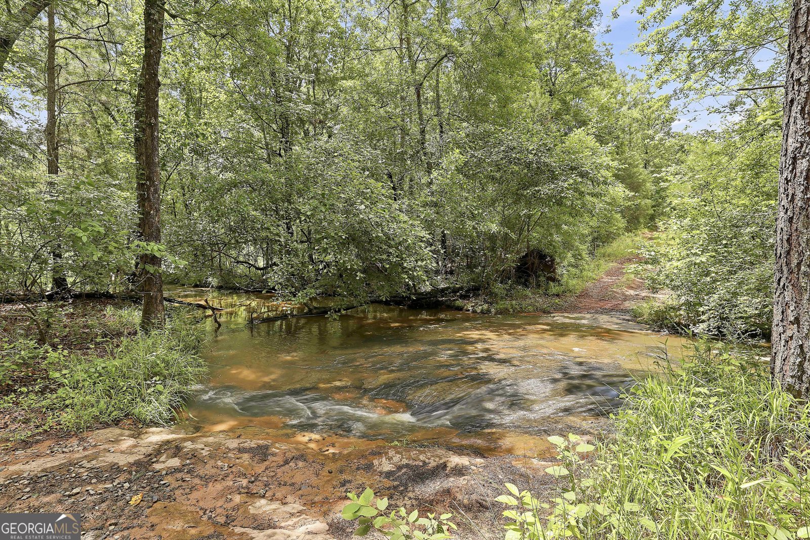 207 Steeplechase Barnesville - Photo 46