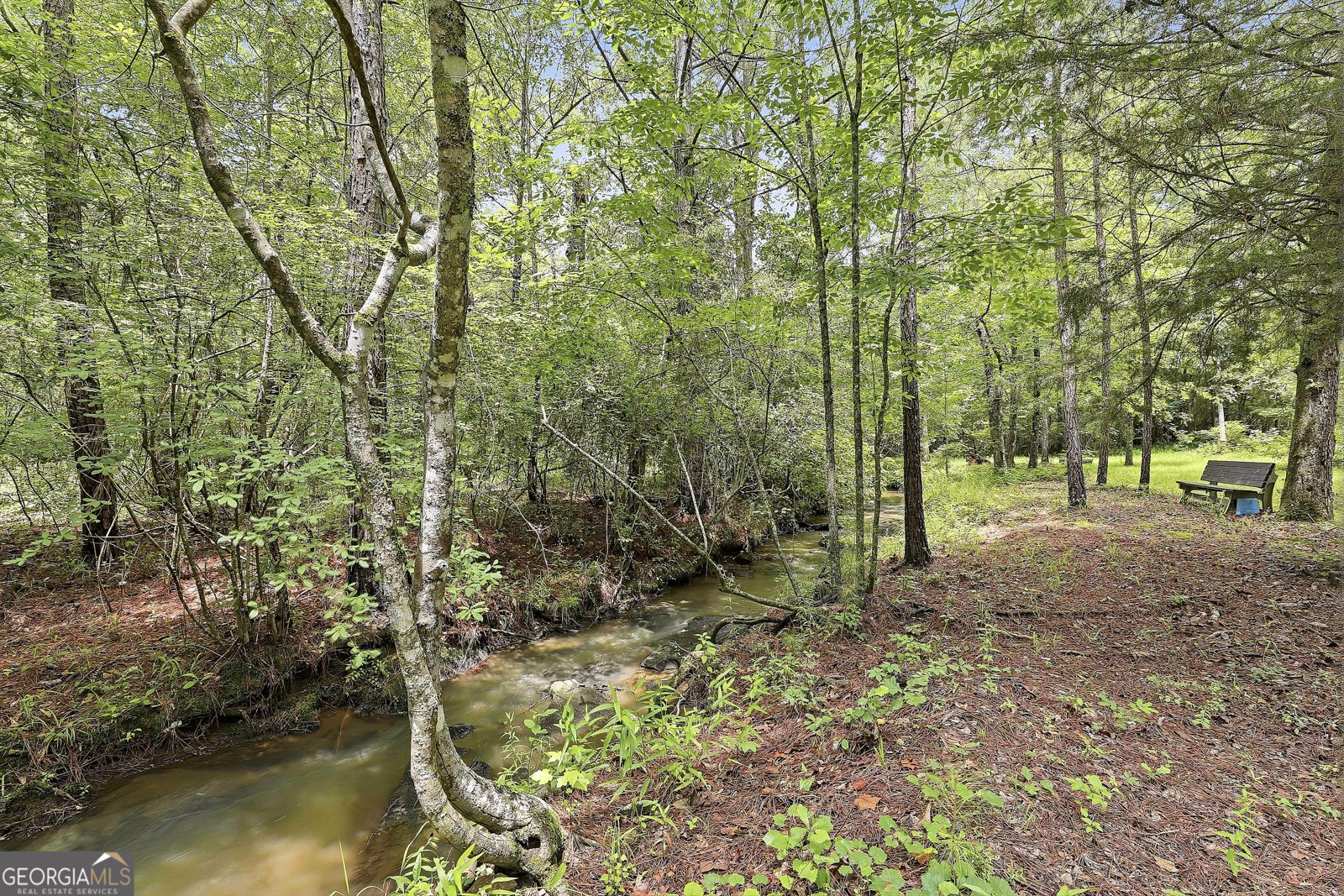 207 Steeplechase Barnesville - Photo 47