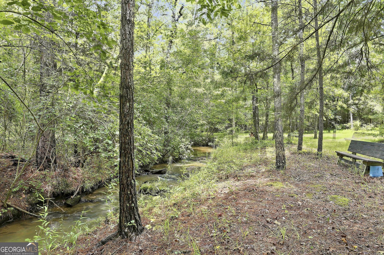 207 Steeplechase Barnesville - Photo 48