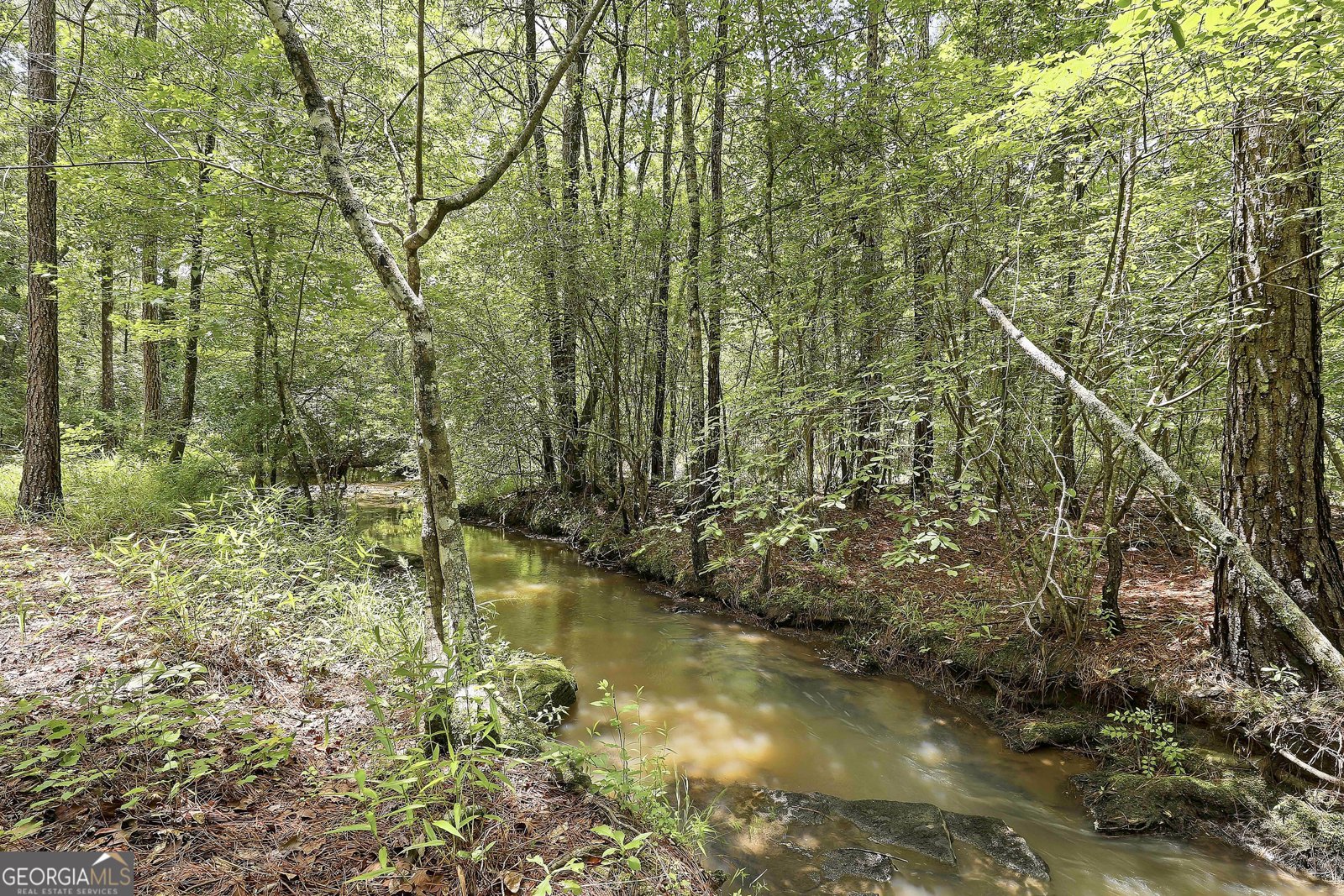 207 Steeplechase Barnesville - Photo 49