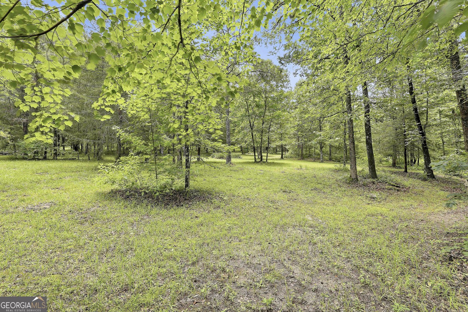 207 Steeplechase Barnesville - Photo 50
