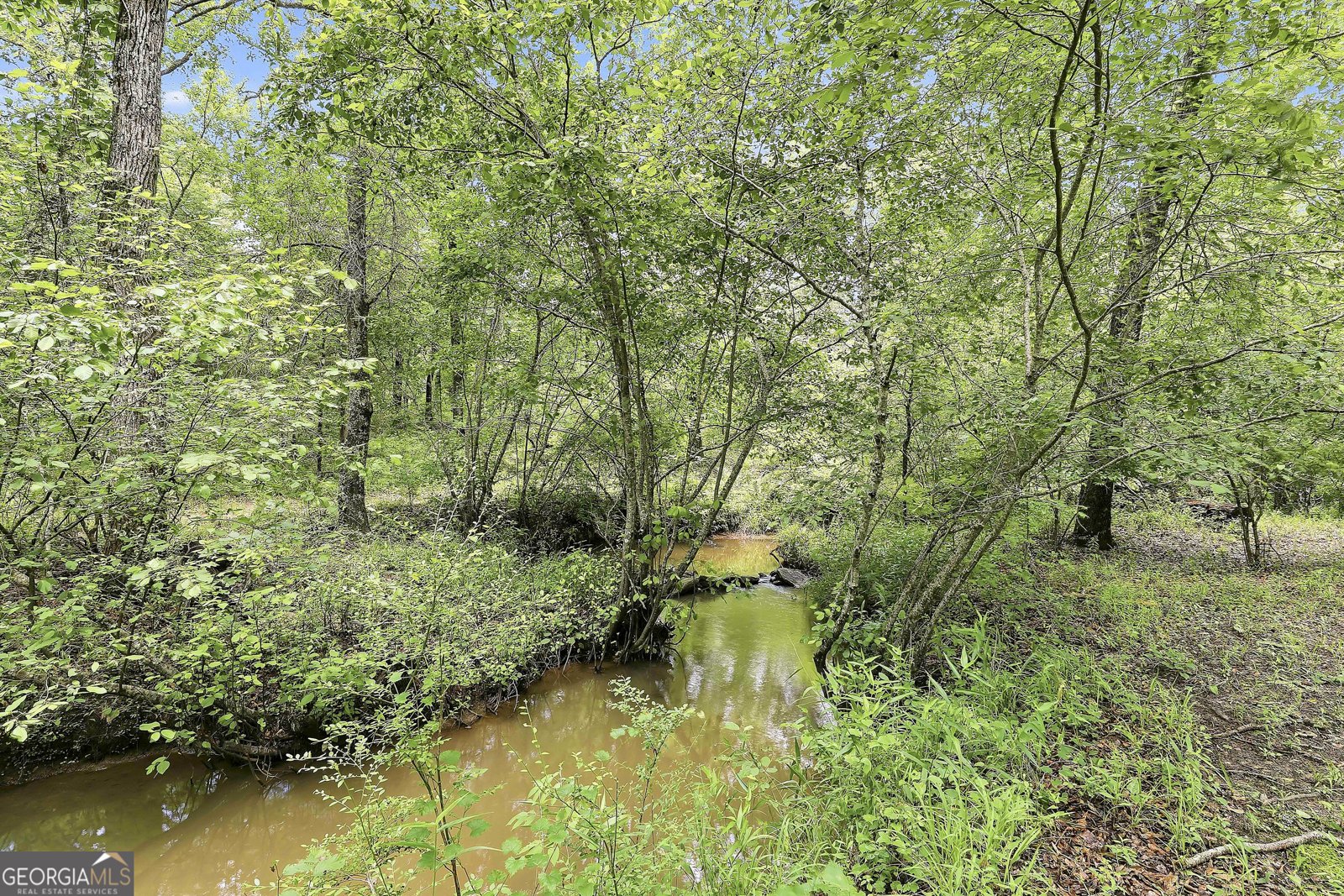 207 Steeplechase Barnesville - Photo 51