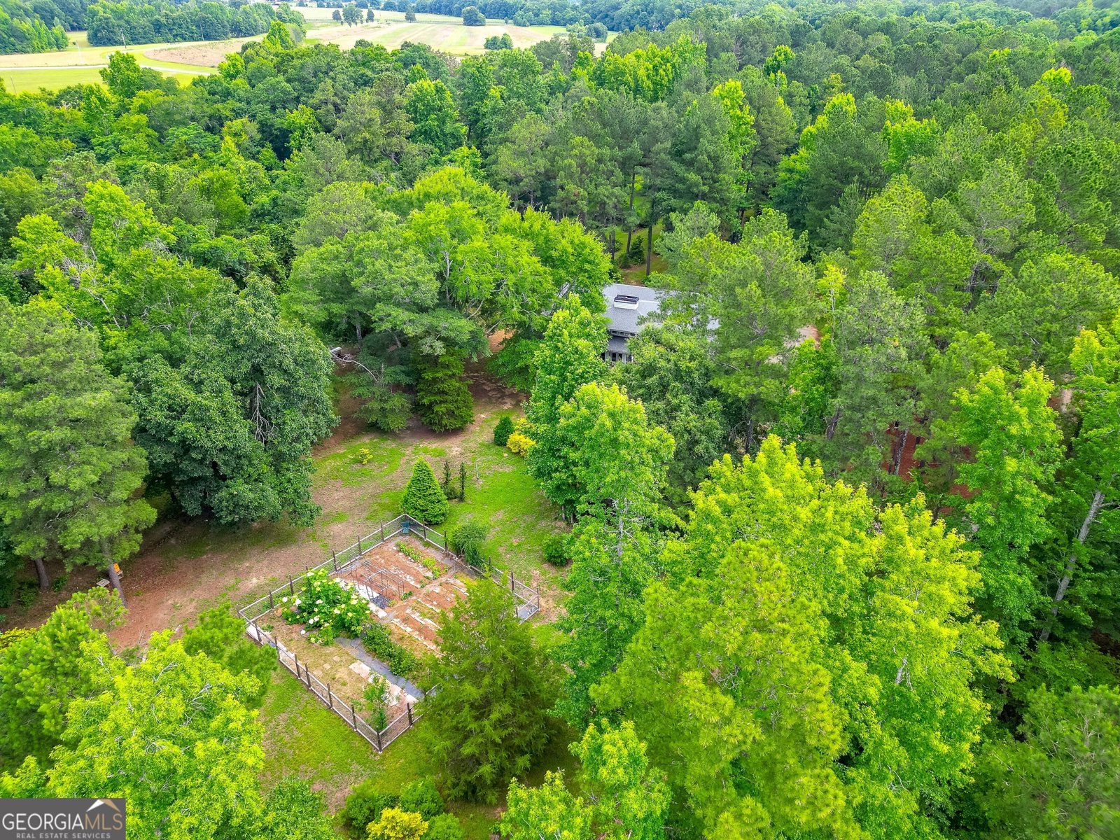 207 Steeplechase Barnesville - Photo 67