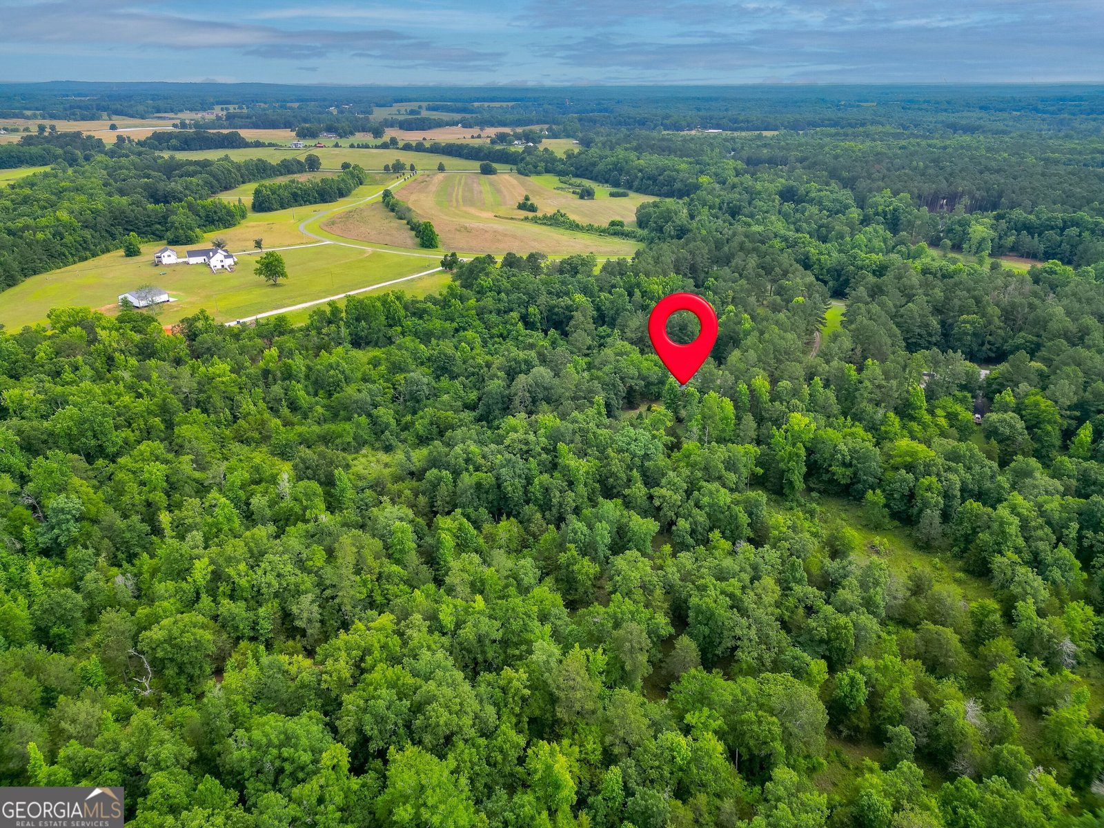 207 Steeplechase Barnesville - Photo 70