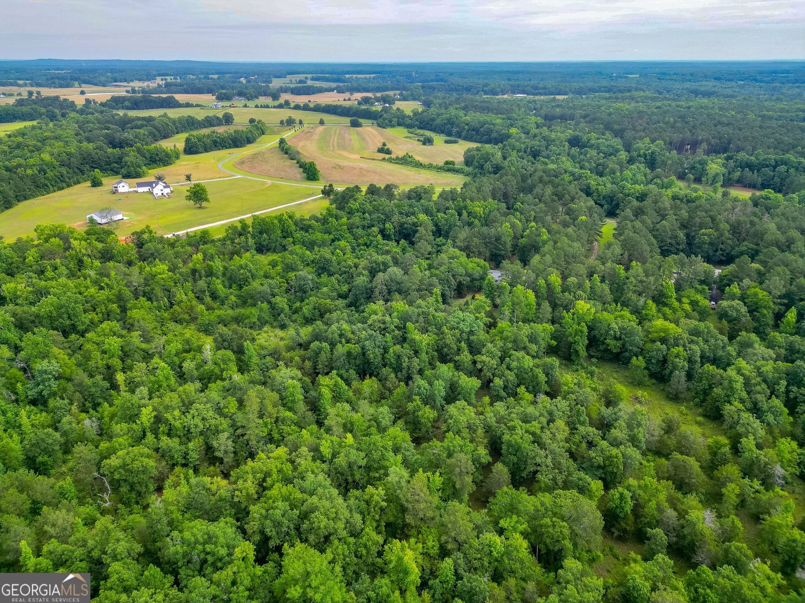 207 Steeplechase Barnesville - Photo 71