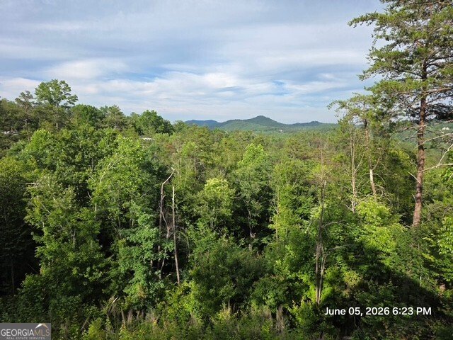 95 Ridgeline Lane Mineral Bluff - Photo 11