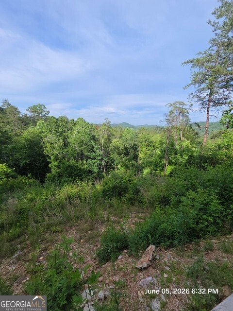 95 Ridgeline Lane Mineral Bluff - Photo 12