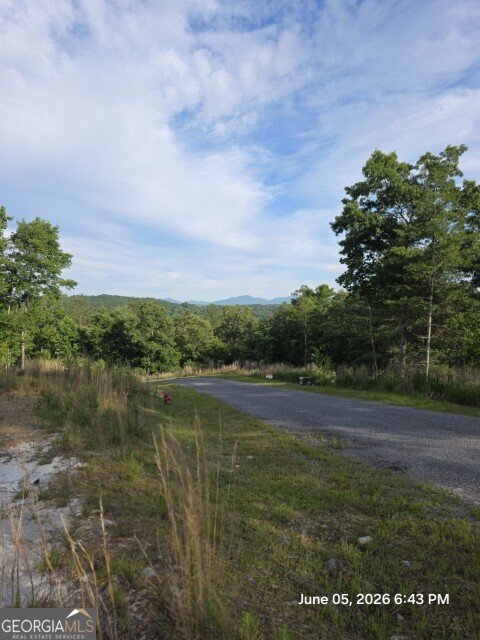 95 Ridgeline Lane Mineral Bluff - Photo 14