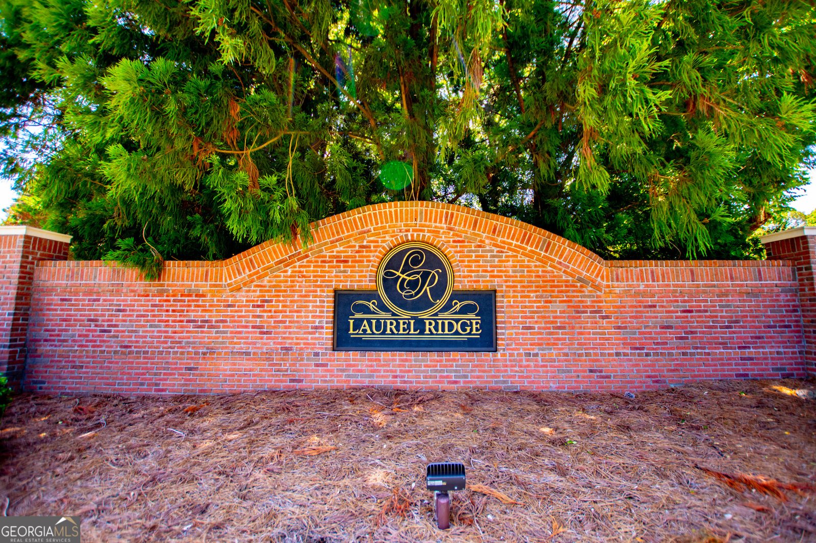 303 Ivy Brook Court Alpharetta - Photo 74