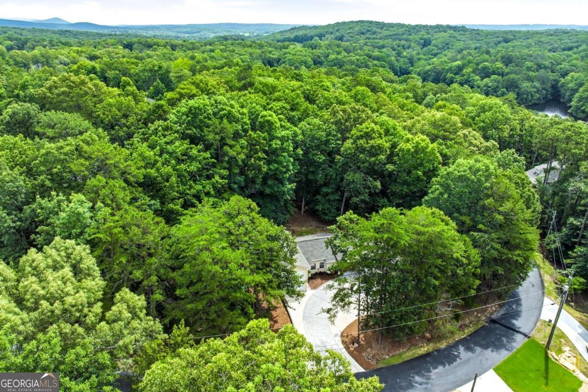 113 Eagle Heart Court Waleska - Photo 47