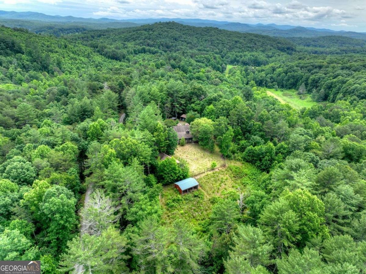 95 Laughing Bird Lane Ellijay - Photo 10